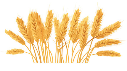 Wheat vector illustration flat vector 