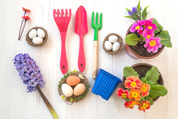 Spring gardening and easter holiday concept. Spring flowers in pots, gardening tools and birdnests with eggs top view
