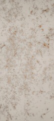 The surface of the painted steel plate is rusting.