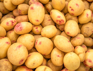 Potato tubes close up on the farm market stall. Food background.
