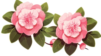 Gordijnen Vector illustration of camellia flowers flat vector © Aina
