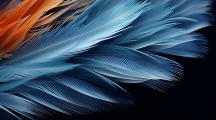 Hypnotic hyper zoom into the intricate patterns of a feather