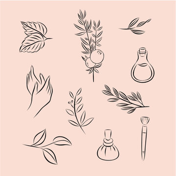 vector wellness illustrations