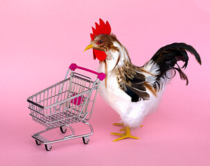 rooster with shopping cart on a pink background, banner or postcard with space for text, congratulations, Easter day celebration