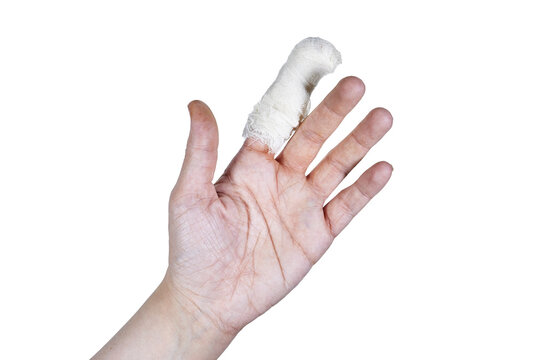 A hand with a bandage on it. The bandage is white and is covering the thumb isolated on white