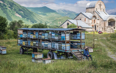 Fototapety na wymiar - Fototapeta24.pl