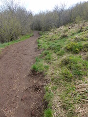 Sentier de randonnée en Auvergne