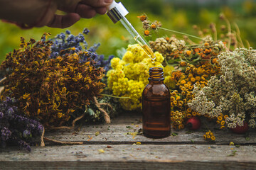 Dried herbs medicinal tinctures extracts in the garden. Selective focus.