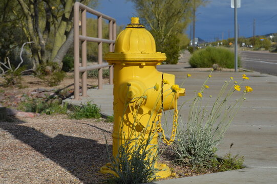 Yellow Fire Hydrant with Plants