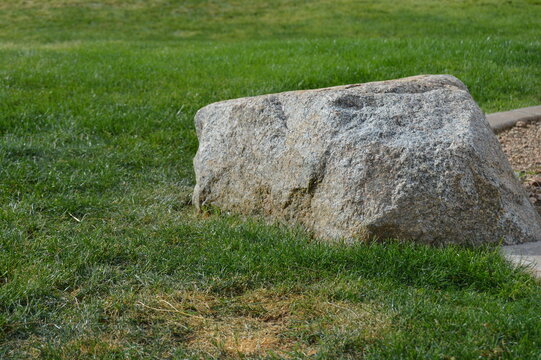 Rock and Grass Lawn
