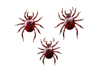 Collection set of tick isolated on transparent background, transparency image, removed background