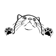 Silhouette of a cat with raised paws looking up. Funny funny cat. Vector illustration