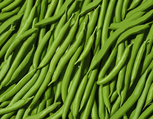 Green bean pods