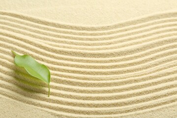 Zen rock garden. Wave pattern and green leaf on beige sand, top view