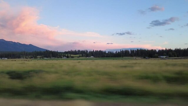 The view of Montana's Big Sky, with some pink clouds, captured during a summer sunset from a moving car.