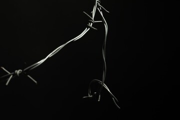Metal barbed wire on black background, closeup