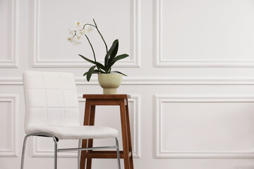 Blooming orchid flower in pot on wooden stand and chair near white wall indoors, space for text