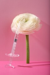 Cosmetology. Medical syringe and ranunculus flower on pink background