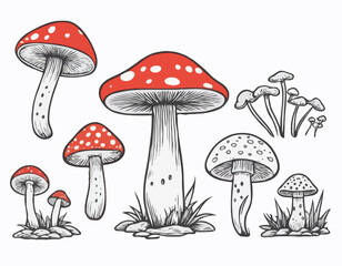Vector Hand Drawn Mushroom With Outline Icon Set Isolated. Amanita Muscaria, Fly Agaric Scetch, Doodle, Linear Sign Collection. Magic Mushroom Symbol, Design Template. Vector illustration
