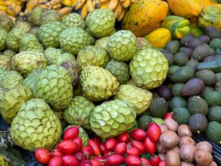 Tropical exotic fruits Cherimoya Anona, papaya, kiwi, tamarillo and avocados on the famous Mercado dos Lavradores on Madeira, Portugal