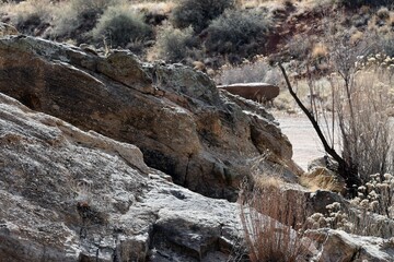 Rock Formations in New Mexico