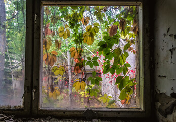 Window in Cheburashka kindergarten in Pripyat abandoned city in Chernobyl Exclusion Zone, Ukraine
