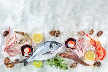 Seafood. Fresh fish and sea food on ice, top shot with copy space. A background for a market or a...
