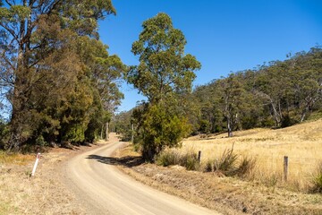 bush gravel road trail in the forest, sandy off road track in the outback