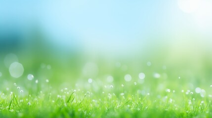 Fototapeta na wymiar sunny spring meadow with green grass and blue sky, bokeh background 