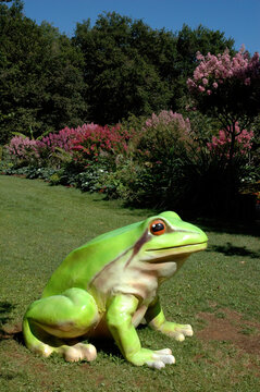 Sculpture de grenouille, Jardin botanique, &eacute;tang, Saint Cyr en Talmondais, refion Pays de Loire, 85, Vend&eacute;e, France