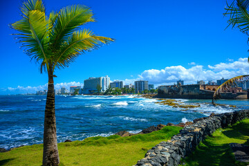 Seascape with Palm Trees, curved volcanic stone walls, green garden, coastal buildings, and...