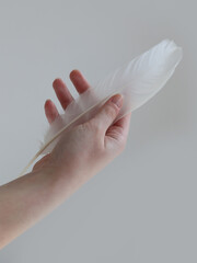 Female hand holding a feather close up. Tenderness , sensitive skin care concept