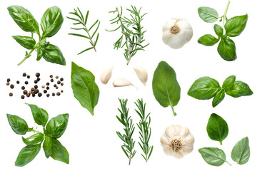 Top view of Herbs and spices isolated on background, ingredients for cooking food, healthy vegetables food, high fibers and vitamins. - Powered by Adobe