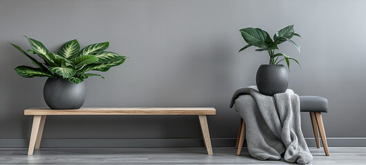 Gray interior with wooden bench and potted houseplants against grey wall. Minimalist gray background for product photography with wooden benchs, two houseplants, gray blanket.