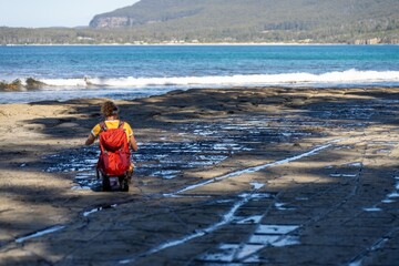 tessellated pavement in tasmania Australia with tourists exploring the park
