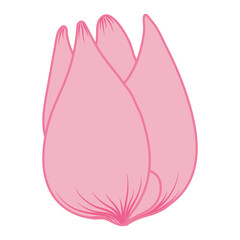 Tulip flower head hand drawn line art illustration. Spring blossom, pink bloom, floral element. Vector design, isolated. Mothers Day, Easter, seasonal, botanical clip art