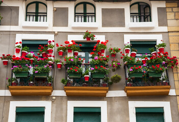 Colorful facades in town of Hondarribia, Spain with balconies and flower pots. Charming decoration...