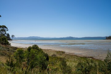 Fototapeta na wymiar saltmarsh in australia with birds and plants