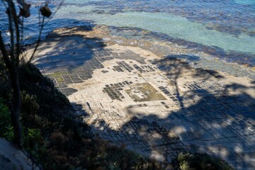 tessellated pavement in tasmania Australia with tourists exploring the park