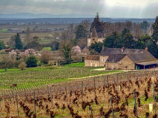 Fototapeta na wymiar Côte Chalonnaise en Bourgogne du sud.