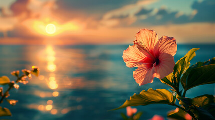 flower in the sunset