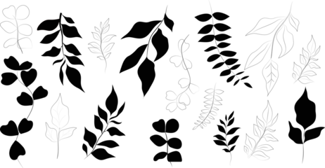 Set of black silhouettes of leaves. Plant design. Vector illustration. Botanical theme.