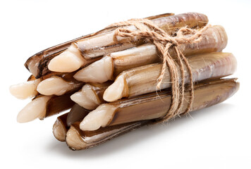 Raw razor clams isolated on white background. © Екатерина Иванова