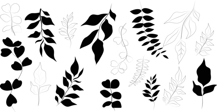 Set of black silhouettes of leaves. Plant design. Vector illustration. Botanical theme.