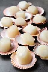 Many fresh raw scallops in shells on grey table, closeup