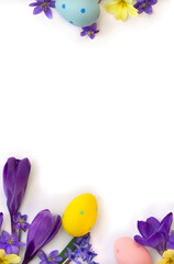 Easter decoration. Easter eggs and blue flowers hepatica, violet crocuses, yellow primula on a white background with space for text. Top view, flat lay