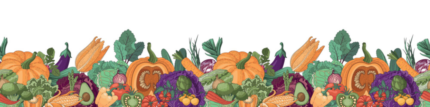 Vegetable horizontal seamless border. A large pattern of vegetables. The design of the lower part of the menu page, website, book, list. Pumpkin, lettuce, cucumbers, tomatoes, other autumn vegetables