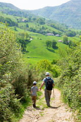 Father  and his little son (unrecognizable; back view) hiking in picturesque French Basque country....