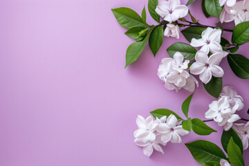 White Flowers on Purple Background