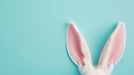 Bunny's ears. Cute bunny or rabbit. Easter or Passover concept.